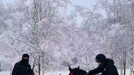 黑狮森林雪骑公园第 1 张图片
