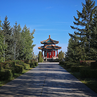 北药泉