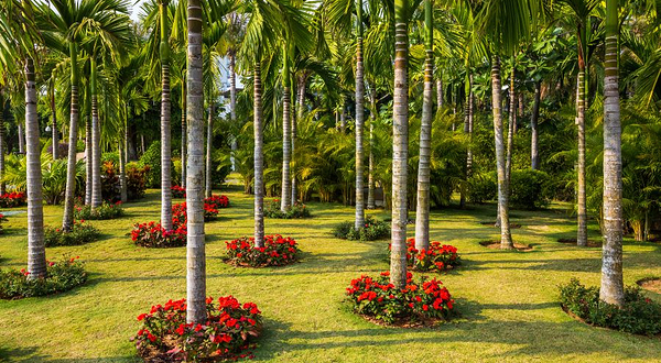 三亚热带雨林广场