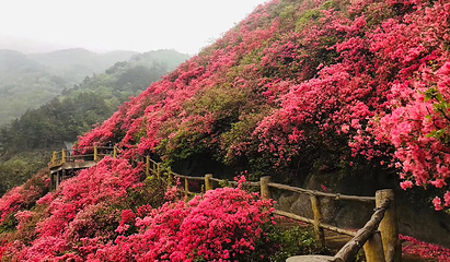 木兰云雾山第 43 张图片