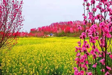 板桥·桃花源第 1 张图片