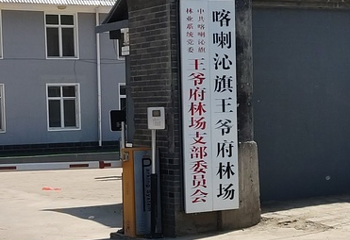 喀喇沁旗王爷府林场第 1 张图片