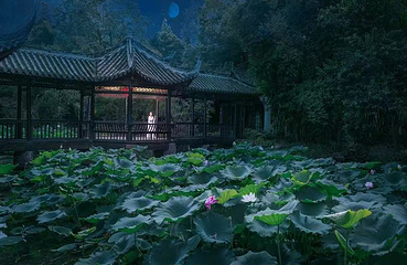 眉山三苏祠博物馆第 3 张图片