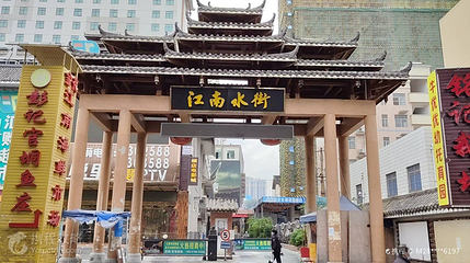 江南龟鳖花鸟市场第 2 张图片