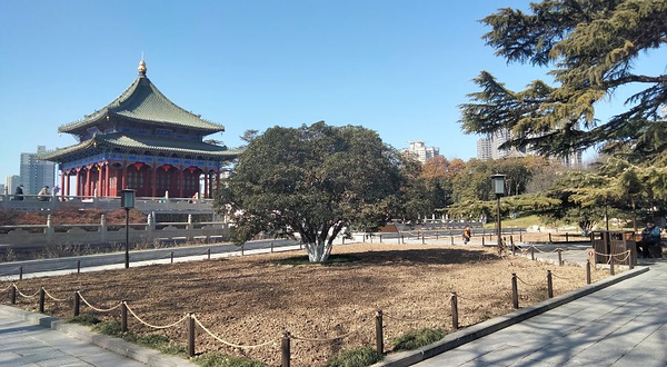 兴庆宫公园游乐场