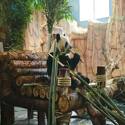 泉州海丝野生动物世界