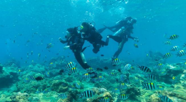 神州半岛洲仔岛潜水水上体验