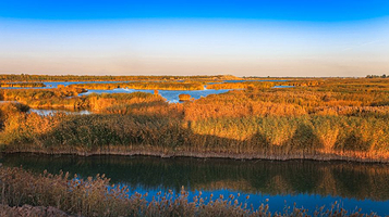 巴彦淖尔国家地质公园