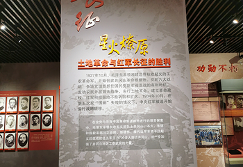 新疆维吾尔自治区博物馆第 47 张图片