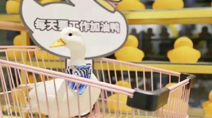 神兽羊驼主题馆（吾悦广场店）第 2 张图片