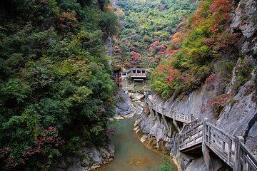 西狭颂景区第 10 张图片