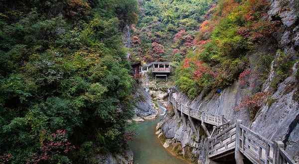 陇南西狭颂摩崖