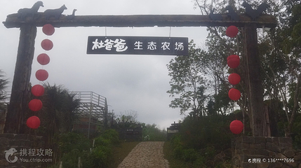 杜爸爸生态农场第 4 张图片