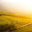 皂幕山旅游风景区