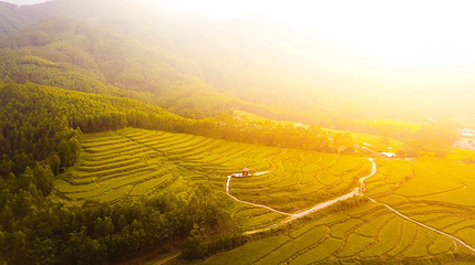 皂幕山旅游风景区第 1 张图片