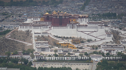 南山公园第 10 张图片