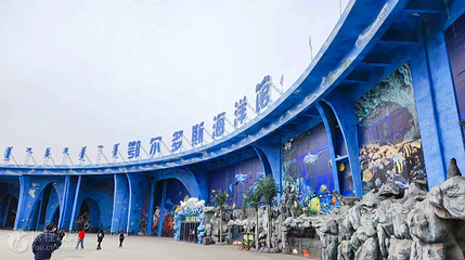 鄂尔多斯野生动物园第 2 张图片