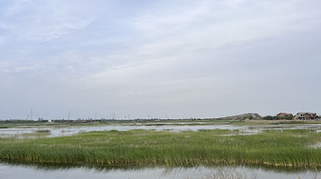内蒙古临河黄河国家湿地公园
