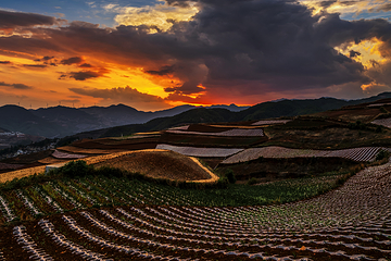 东川红土地第 26 张图片