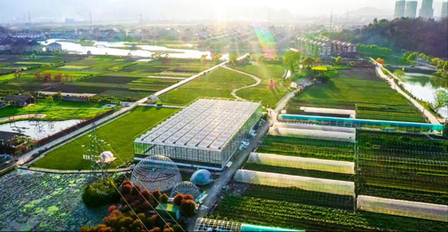 戴村智慧农创园