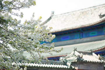 天坛公园第 75 张图片
