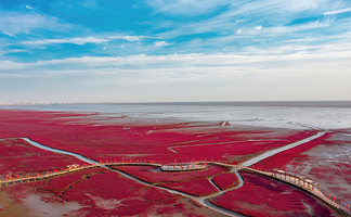 红海滩国家风景廊道
