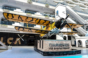 立巢航空博物馆