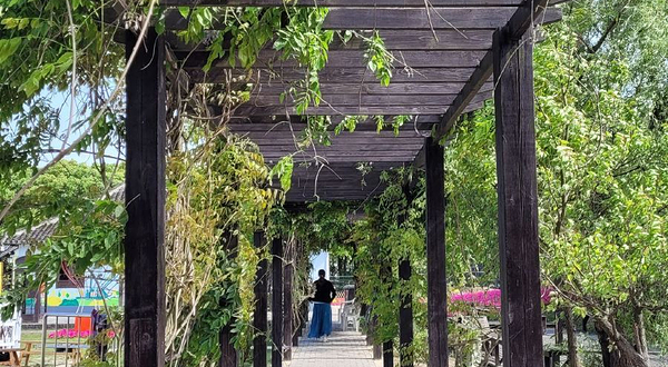 天域农场采摘园