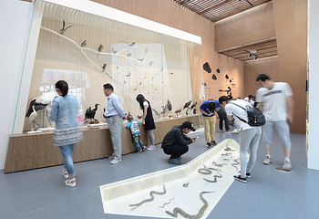 黄山市城市展示馆第 15 张图片