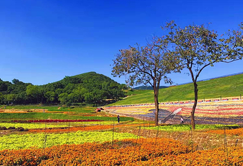 天人山水大地艺术园第 37 张图片