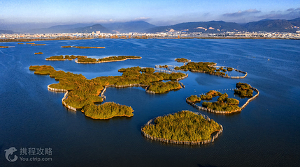 杞麓湖国家湿地公园第 2 张图片