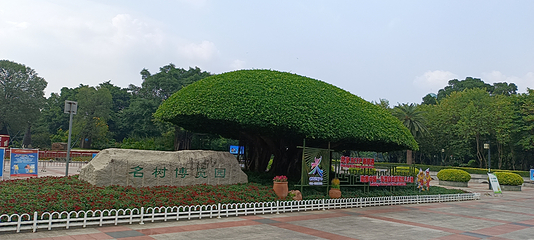 南湖广场第 10 张图片