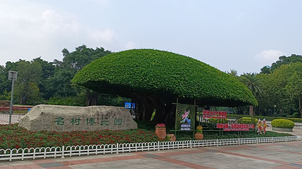 名树博览园第 1 张图片