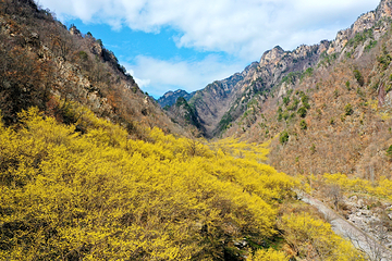 老界岭旅游度假区第 35 张图片