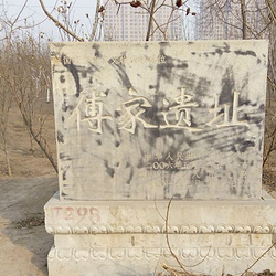 东营傅家遗址