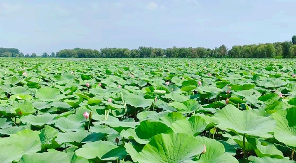 沈阳仙子湖旅游风景区