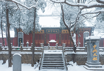 嵩阳景区第 21 张图片