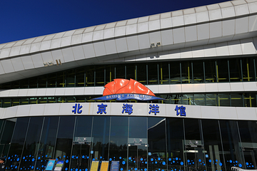 北京海洋馆第 61 张图片