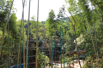 九瀑峡景区第 28 张图片