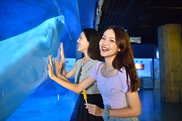 海合安天津极地海洋公园第 55 张图片