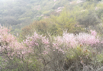 北京药王谷风景区第 65 张图片
