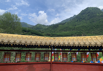 圣地藏家乐第 25 张图片