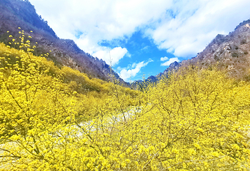 老界岭旅游度假区第 25 张图片