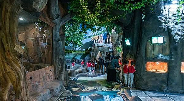 플레이아쿠아리움 부천