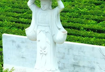 安溪茶叶公园第 4 张图片