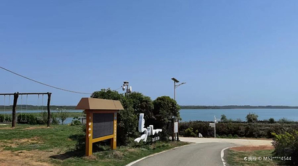 武汉安山国家湿地公园第 1 张图片
