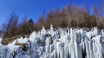 巴山湫池旅游区第 1 张图片