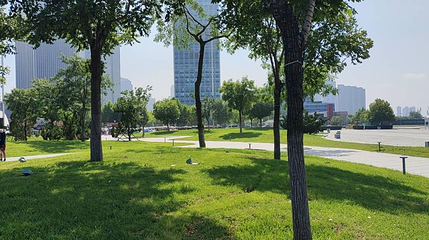 东港游乐园第 1 张图片