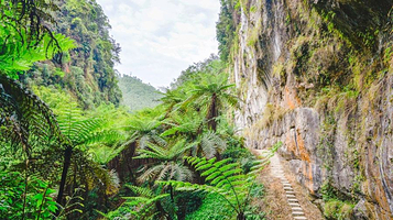 桫椤峡谷景区