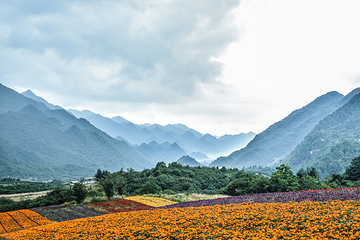 红池坝风景区第 12 张图片